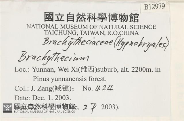 登錄號:B00012979藏品圖，第2張