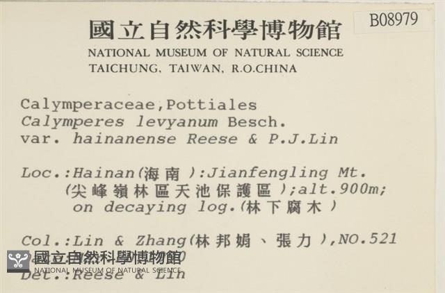 登錄號:B00008979藏品圖，第2張