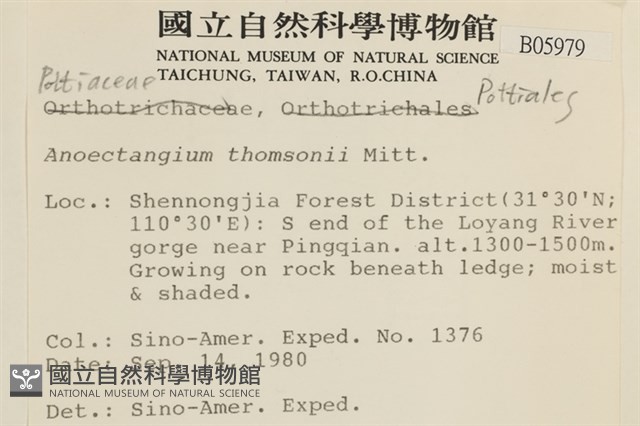 索氏叢本蘚藏品圖，第2張