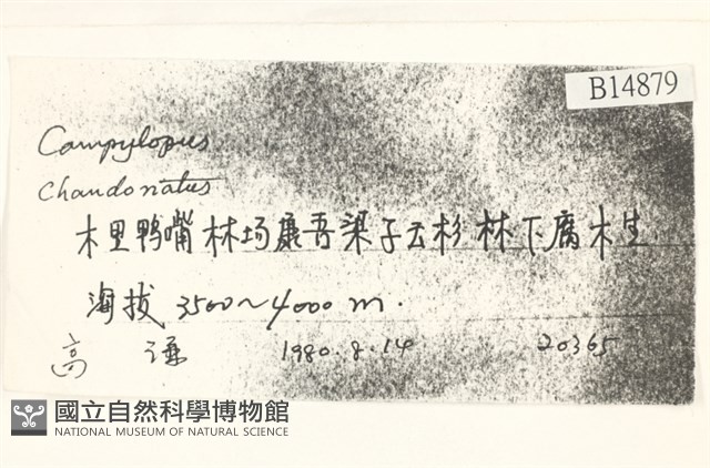 登錄號:B00014879藏品圖，第2張