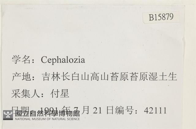 登錄號:B00015879藏品圖，第2張