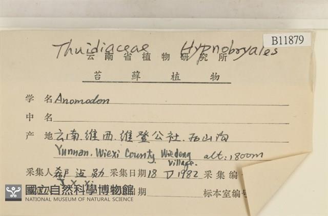 登錄號:B00011879藏品圖，第2張