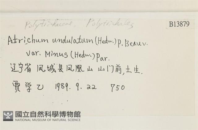 登錄號:B00013879藏品圖，第2張