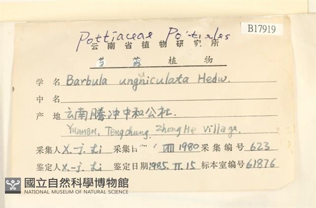 扭口蘚藏品圖，第2張