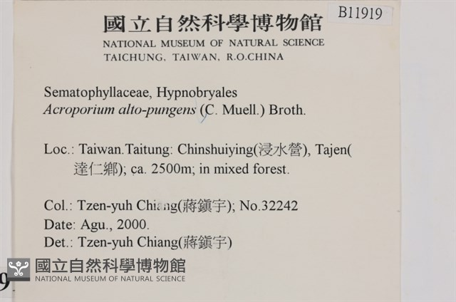 登錄號:B00011919藏品圖，第1張