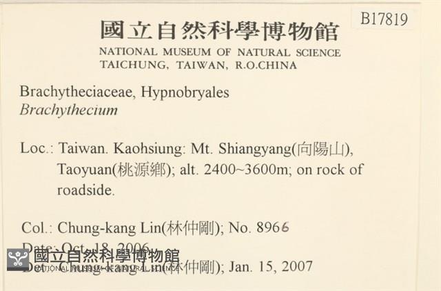 登錄號:B00017819藏品圖，第2張