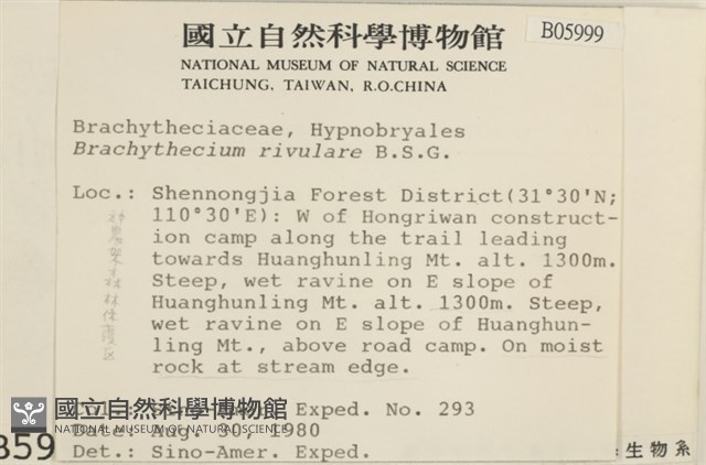溪邊青蘚藏品圖，第2張
