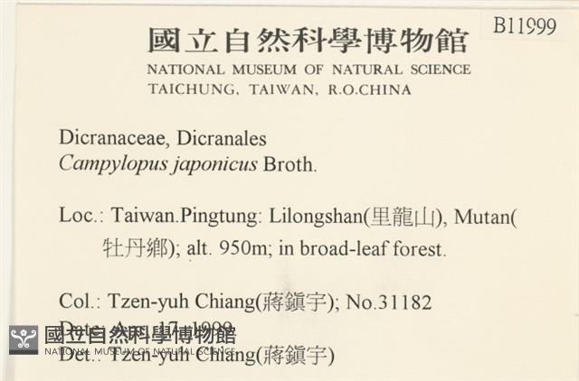 日本曲柄蘚藏品圖，第2張