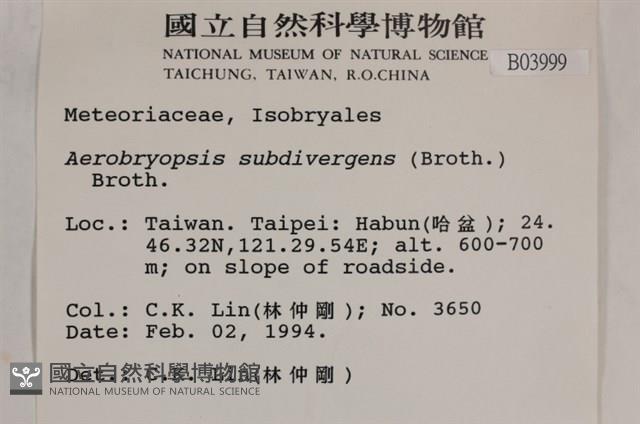 大灰氣蘚藏品圖，第2張