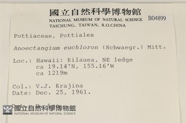 登錄號:B00004899藏品圖，第2張