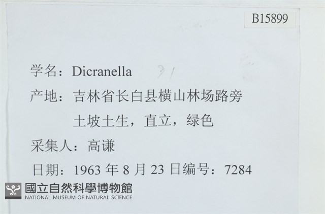 登錄號:B00015899藏品圖，第2張