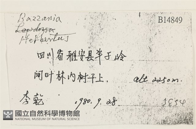 登錄號:B00014849藏品圖，第2張