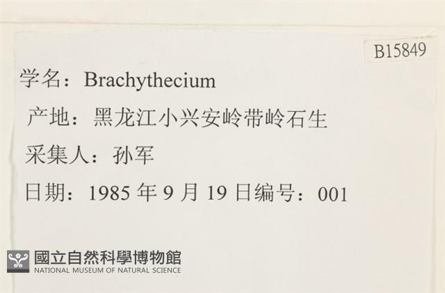 登錄號:B00015849藏品圖，第2張
