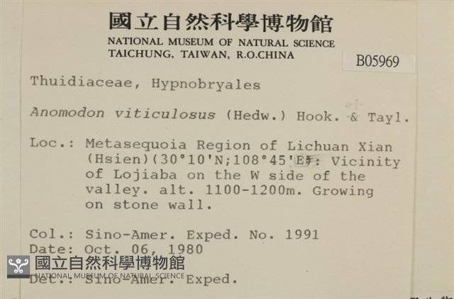 登錄號:B00005969藏品圖，第2張