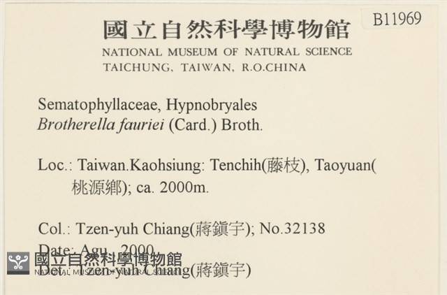 東亞小錦蘚藏品圖，第2張