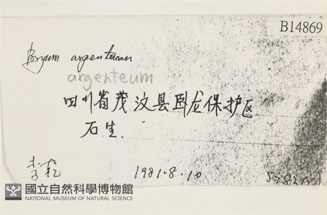 真蘚藏品圖，第2張