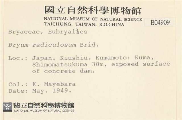 登錄號:B00004909藏品圖，第2張