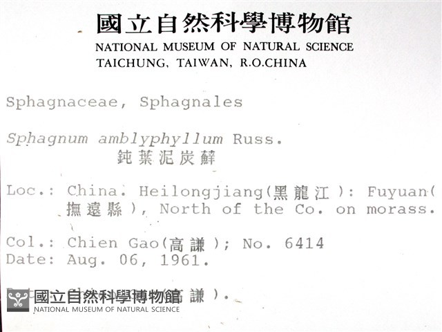 鈍葉泥炭蘚藏品圖，第2張