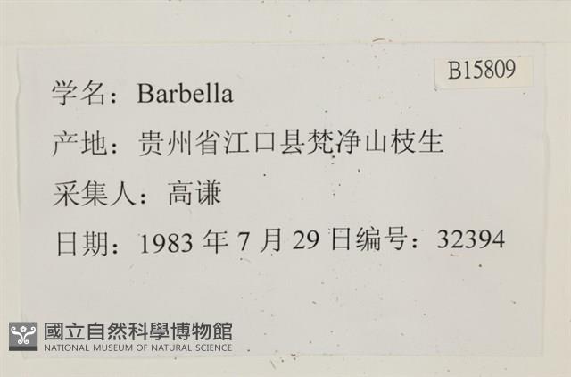 登錄號:B00015809藏品圖，第2張