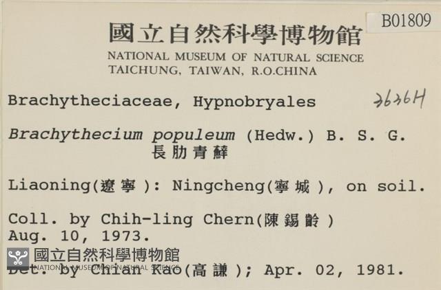 長肋青蘚藏品圖，第2張