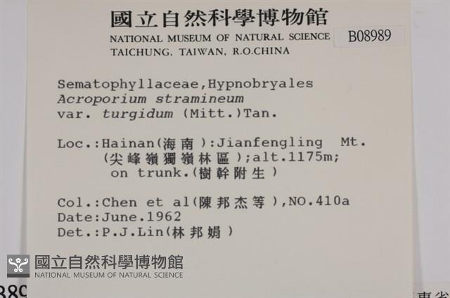 登錄號:B00008989藏品圖，第2張