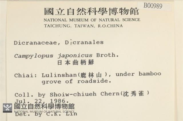 日本曲柄蘚藏品圖，第2張