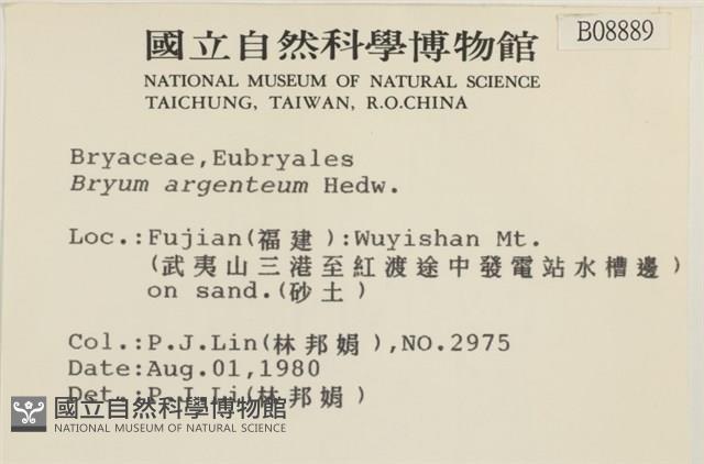 真蘚藏品圖，第2張