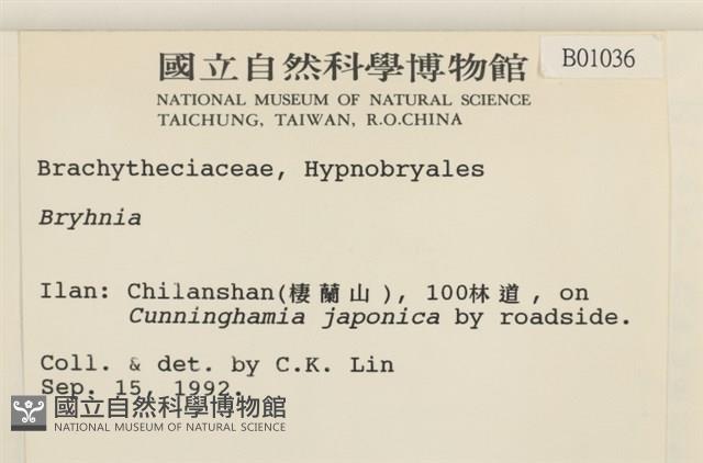 登錄號:B00001036藏品圖，第2張