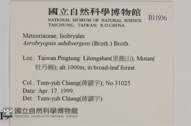 大灰氣蘚藏品圖，第2張