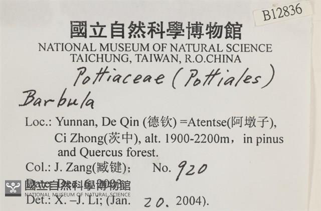 登錄號:B00012836藏品圖，第2張