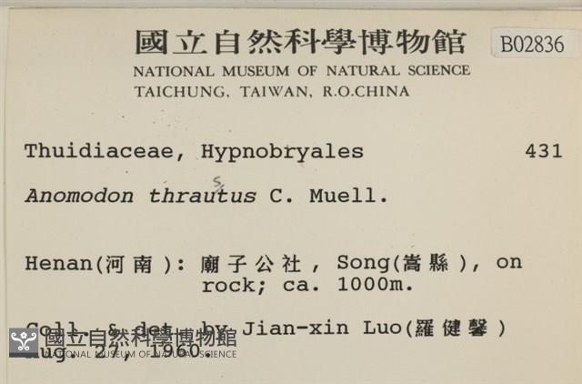 碎葉牛舌蘚藏品圖，第2張