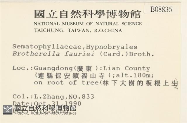 東亞小錦蘚藏品圖，第2張