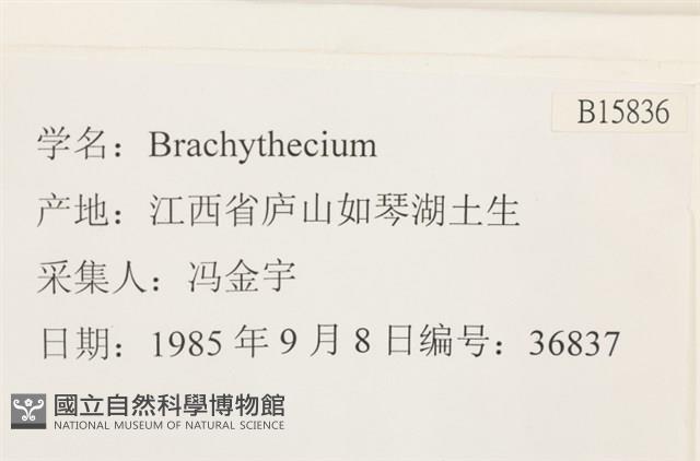 登錄號:B00015836藏品圖，第2張