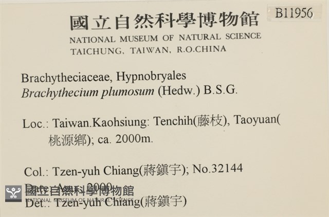 羽枝青蘚藏品圖，第2張