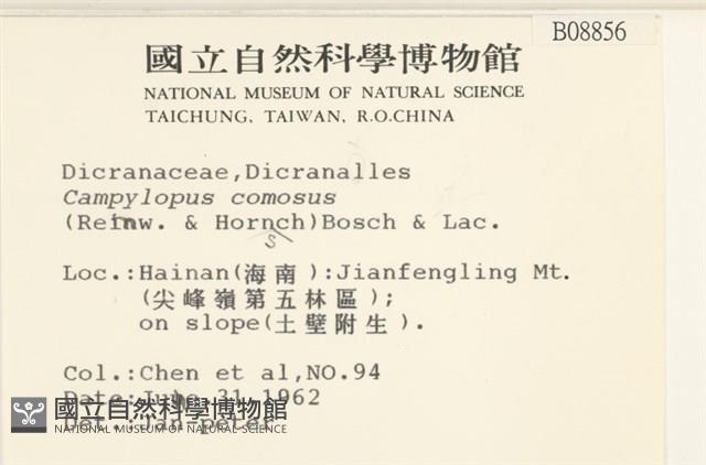 登錄號:B00008856藏品圖，第2張