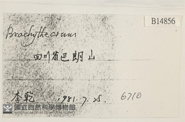 登錄號:B00014856藏品圖，第2張