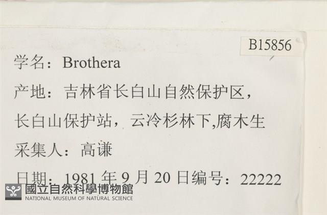 登錄號:B00015856藏品圖，第2張