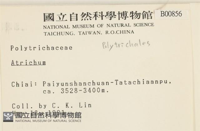 登錄號:B00000856藏品圖，第2張