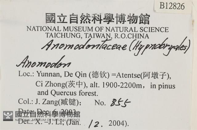 登錄號:B00012826藏品圖，第2張