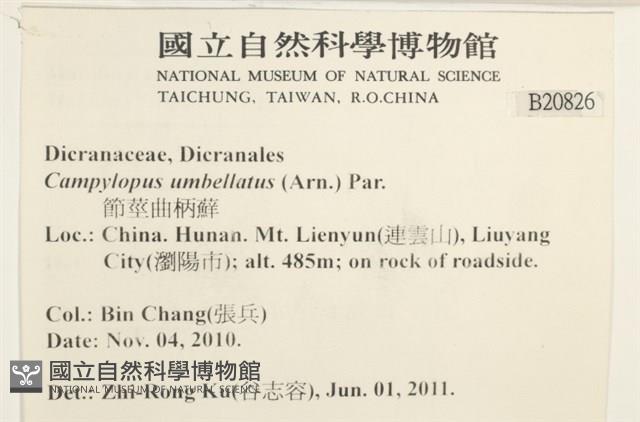 登錄號:B00020826藏品圖，第2張
