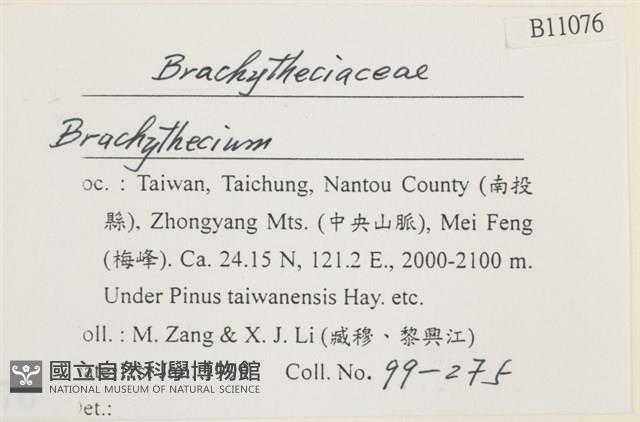 登錄號:B00011076藏品圖，第2張