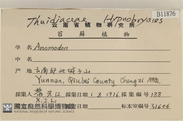 登錄號:B00011876藏品圖，第2張