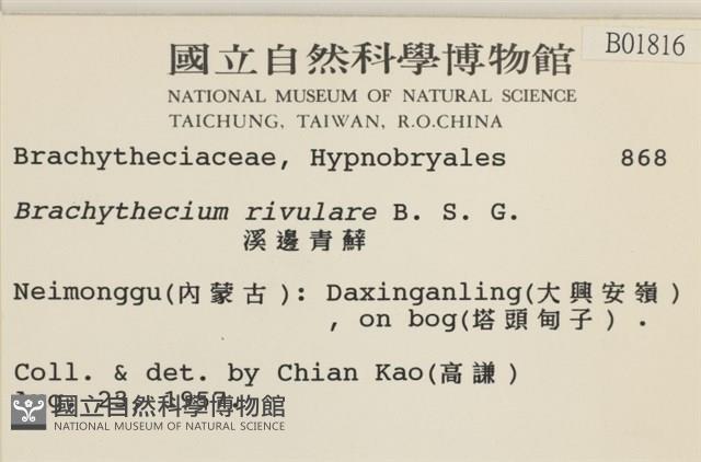 溪邊青蘚藏品圖，第2張