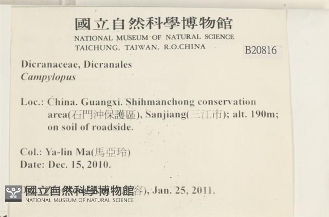 登錄號:B00020816藏品圖，第2張