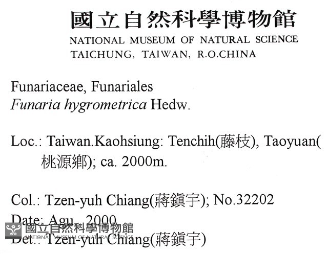 葫蘆蘚藏品圖，第2張