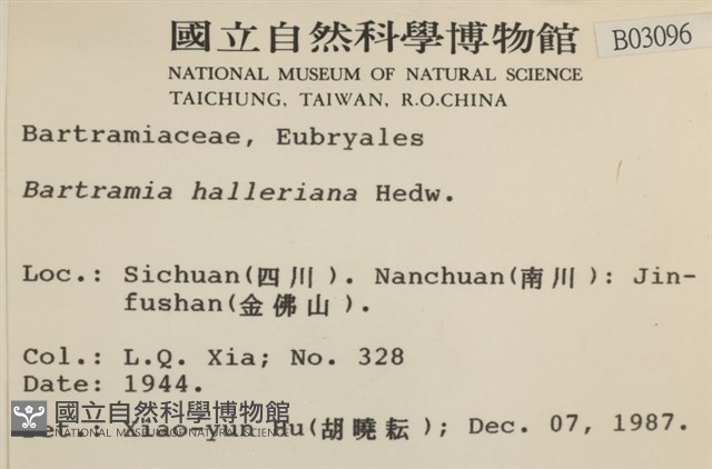 登錄號:B00003096藏品圖，第2張