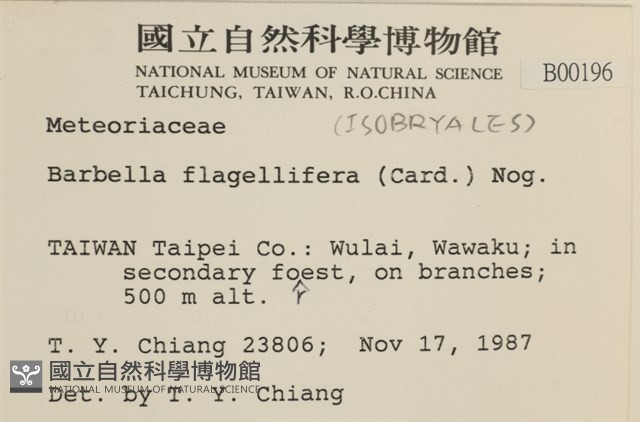 鞭枝懸蘚藏品圖，第2張