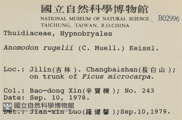 皺葉牛舌蘚藏品圖，第2張