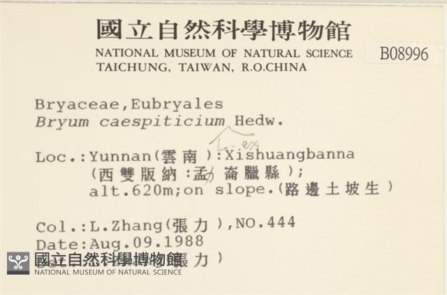叢生真蘚藏品圖，第2張