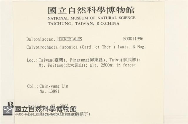 登錄號:B00011996藏品圖，第2張